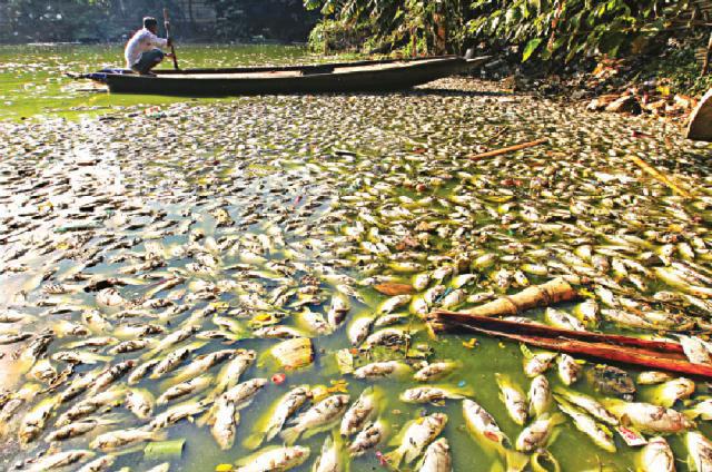 দুষ্কৃতকারীদের বিচার করতে হবে