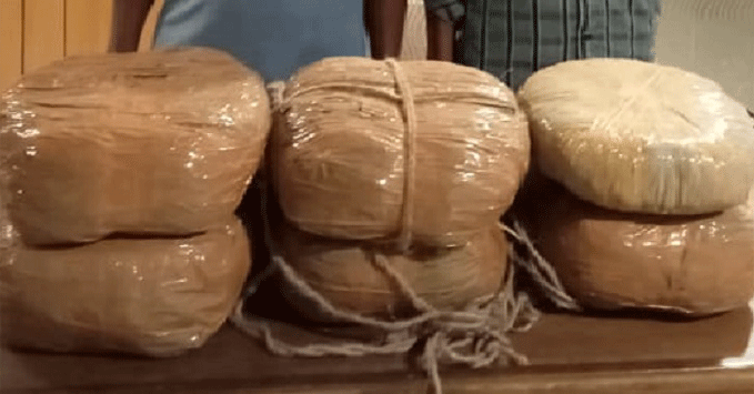 ১৪ কেজি গাঁজাসহ ২ মাদক কারবারিকে গ্রেফতার করেছে ডিবি