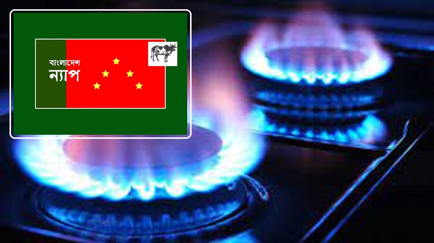 আবাসিক গ্যাসের মূল্যবৃদ্ধি দুর্বিষহ করবে জনজীবন : বাংলাদেশ ন্যাপ  