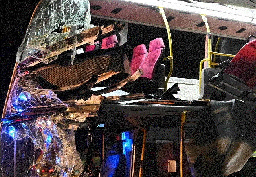 পাকিস্তানে সড়ক দুর্ঘটনায় ১৯ জনের মৃত্যু